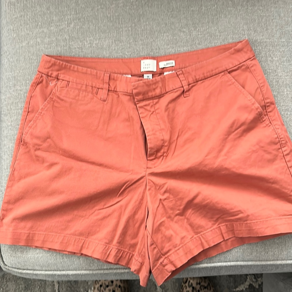 A New Day burnt orange shorts